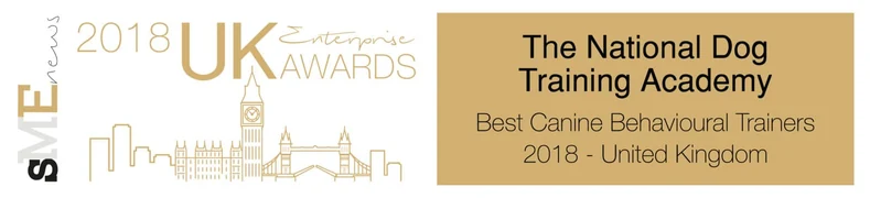 UK Enterprise Awards 2018 Winner