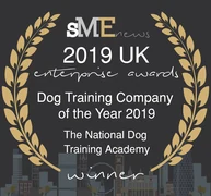 UK Enterprise Awards 2019 Winner